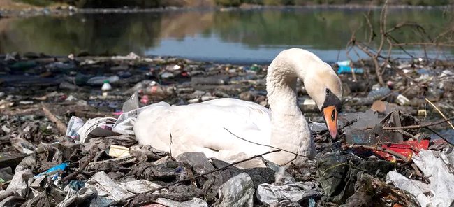 В Туле подписано соглашение об очистке берегов водных объектов от мусора